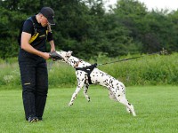 /album/obrana/a2-8-2011-8-jpg/