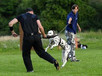 /album/obrana/a2-8-2011-10-jpg/