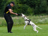 /album/obrana/a2-8-2011-11-jpg/