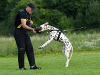 /album/obrana/a2-8-2011-12-jpg/