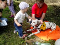 /album/fotogalerie-canisterapie/img-20140524-145928-jpg/